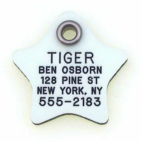 Glow-In-The-Dark Tag - Star, - Lucky Pet